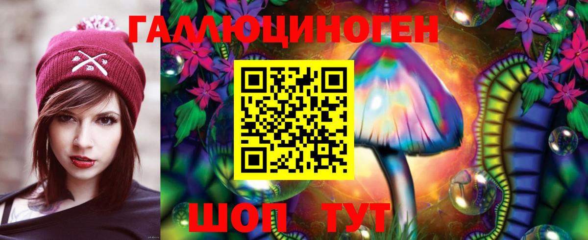 Комсомольск-на-Амуре  где можно купить   Вход с VPN  Галлюциногенные грибы прущие грибы 